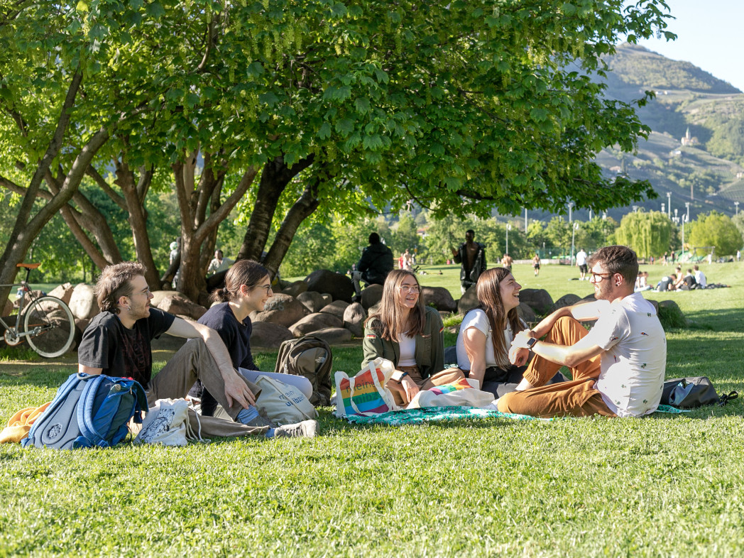 Junge Menschen sitzen unter einem Baum auf einer grünen Wiese. 