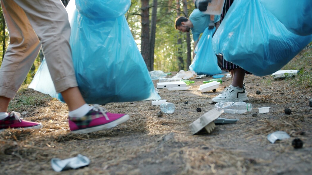 People collect litter in blue bags on a forest path.