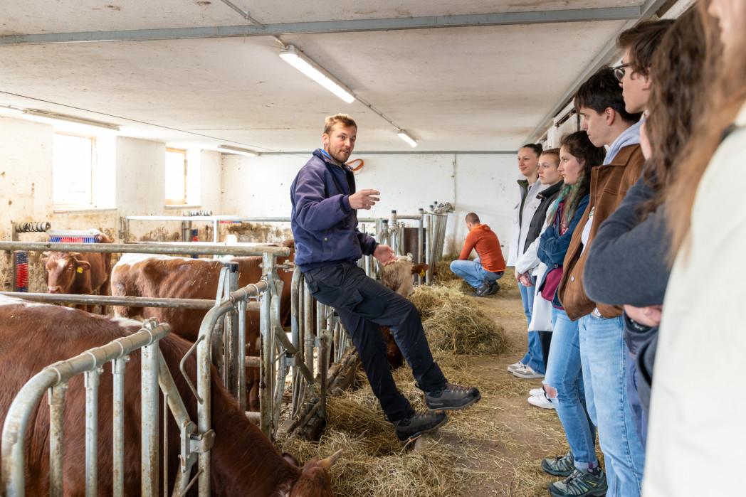 Junge Menschen hören in einem Rinderstall einem Landwirt/Experten zu. Im Hintergund Rinder in Boxen und Stroh.