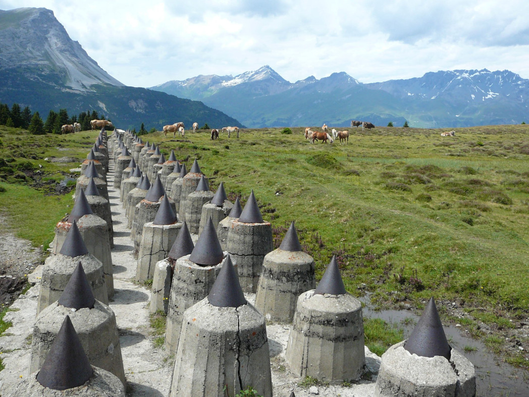 Betonsperre auf Almwiese mit Kühen. 