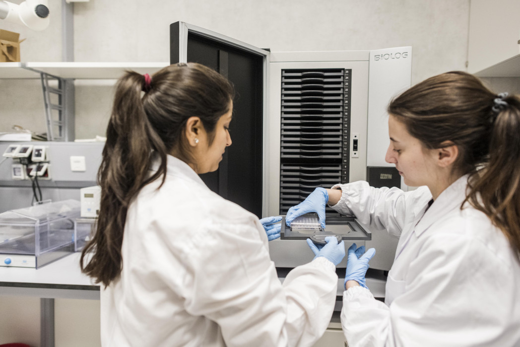 Zwei Personen in Laborkitteln arbeiten gemeinsam an einer Laborbank und führen mit einer Pipette eine Probe durch.