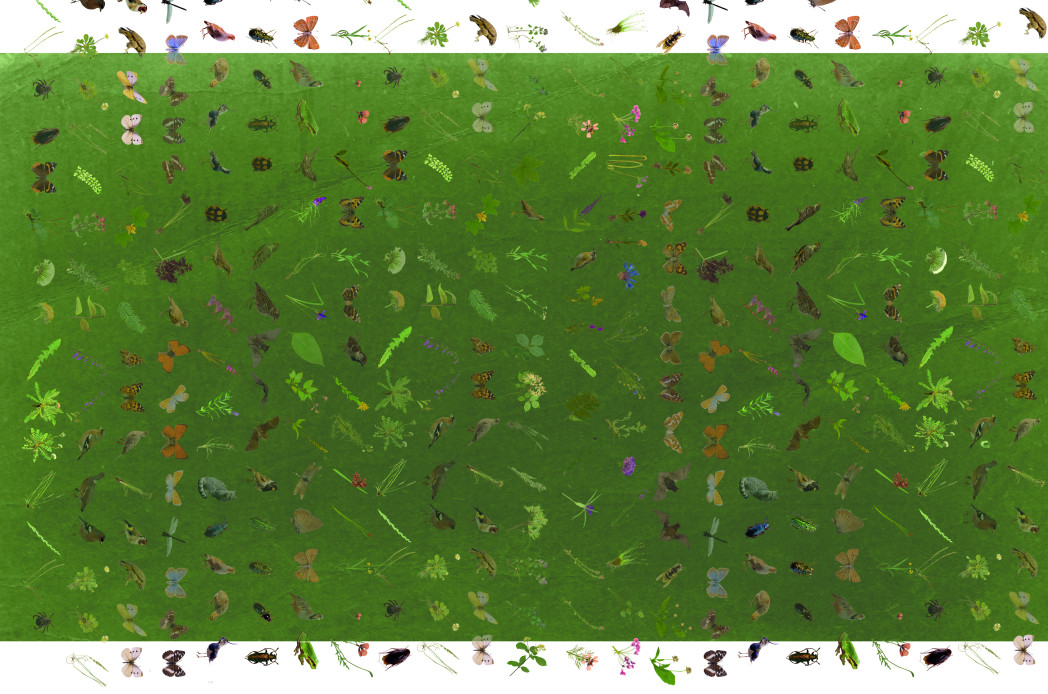 wiederholendes Muster mit Schmetterlingen, Vögeln, Insekten, Blättern, Blumen und Farnen auf grünem Hintergrund