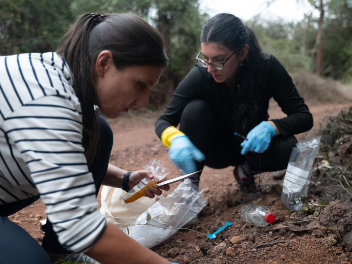 Tanja Mimmo e Maria Landolfi mentre campionano la rizosfera delle Opuntie nel parco della Fondazione Charles Darwin. Foto: Matteo Vegetti (unibz)