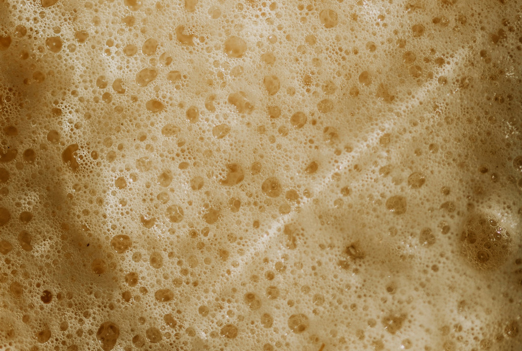 Foto di Elijah Pilchard (unsplash.com)