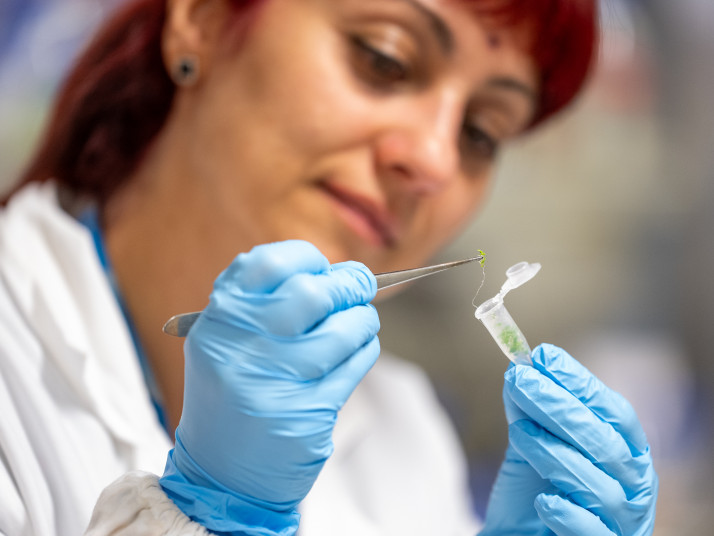 Ragazza con piccola piantina e eppedorf.