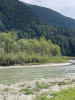 Foresta golenale sulla riva di un fiume.